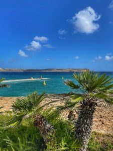 Visit Malta