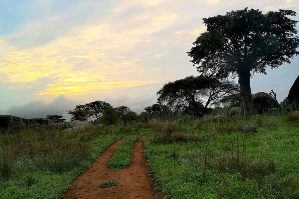 tramonto in Tanzania tramonto in Tanzania