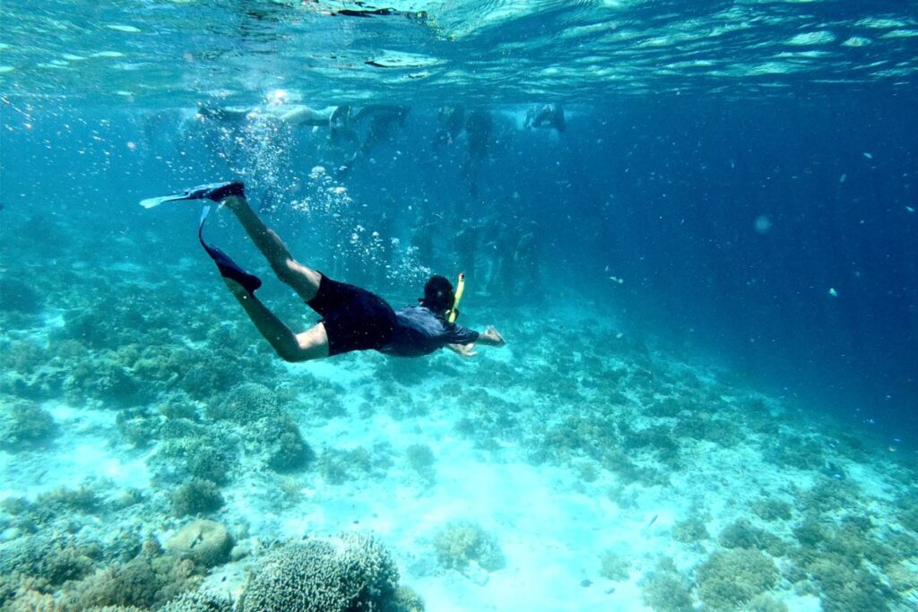 ZANZIBAR TANZANIA (9) snorkeling Zanzibar